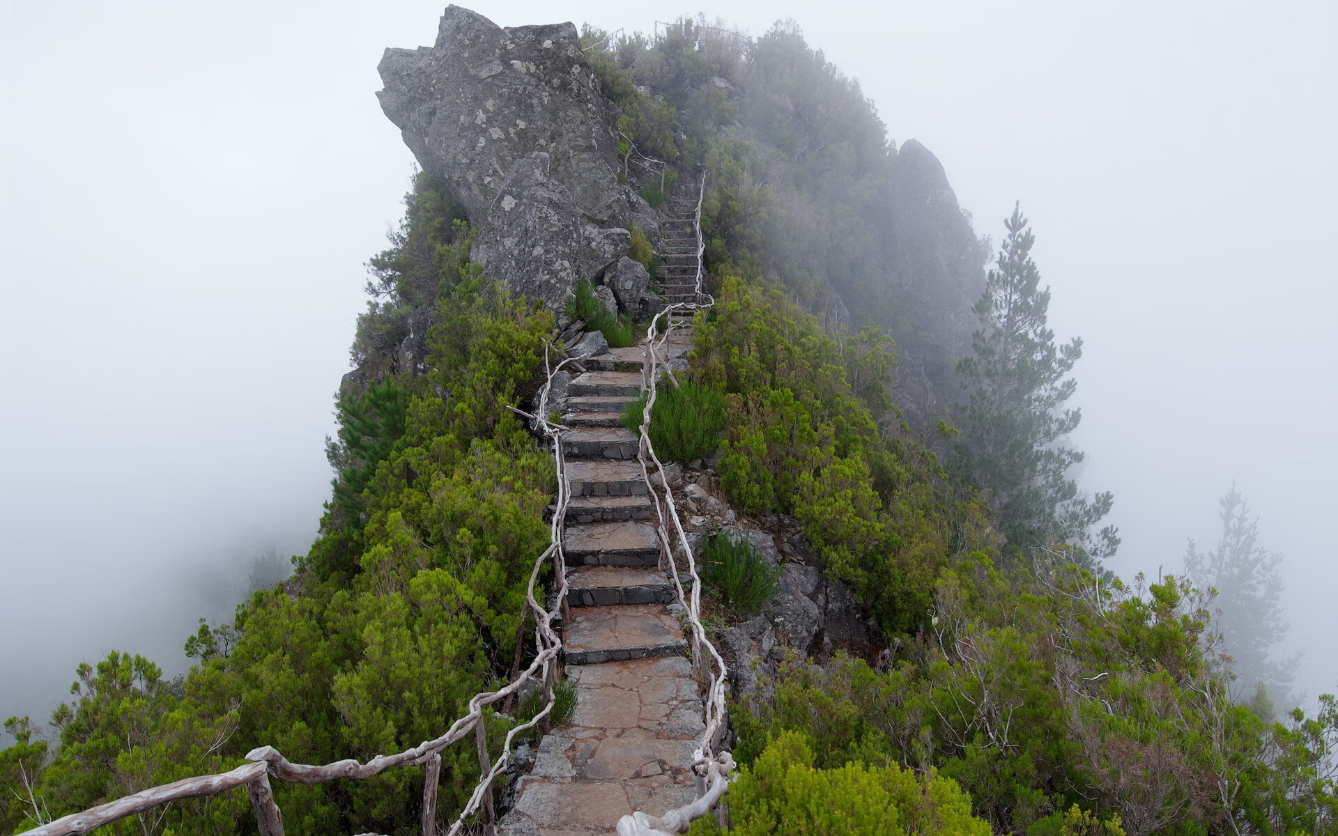 开云投注-摩纳哥士气高涨，欲击败马赛取得胜利，摩纳哥精选