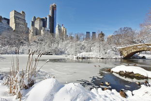 开云体育下载APP-世界青少年冰雪运动会在哈尔滨精彩纷呈,青少年冰雪运动的宣传标语