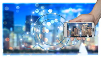 开云APP-中国篮球职业俱乐部财务风险管理策略研究，篮球俱乐部运营情况